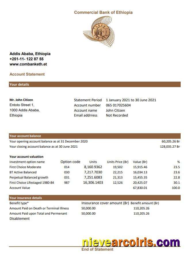 Ethiopia Commercial Bank statement easy to fill in Excel and PDF format